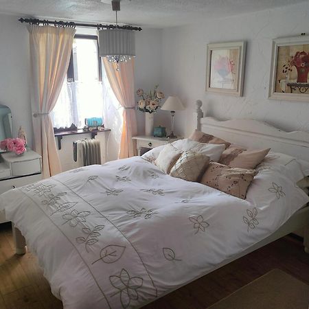 Maison Josselin Proche Chateau Luaran gambar